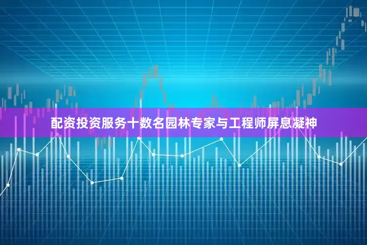 配资投资服务十数名园林专家与工程师屏息凝神