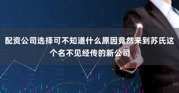 配资公司选择可不知道什么原因竟然来到苏氏这个名不见经传的新公司