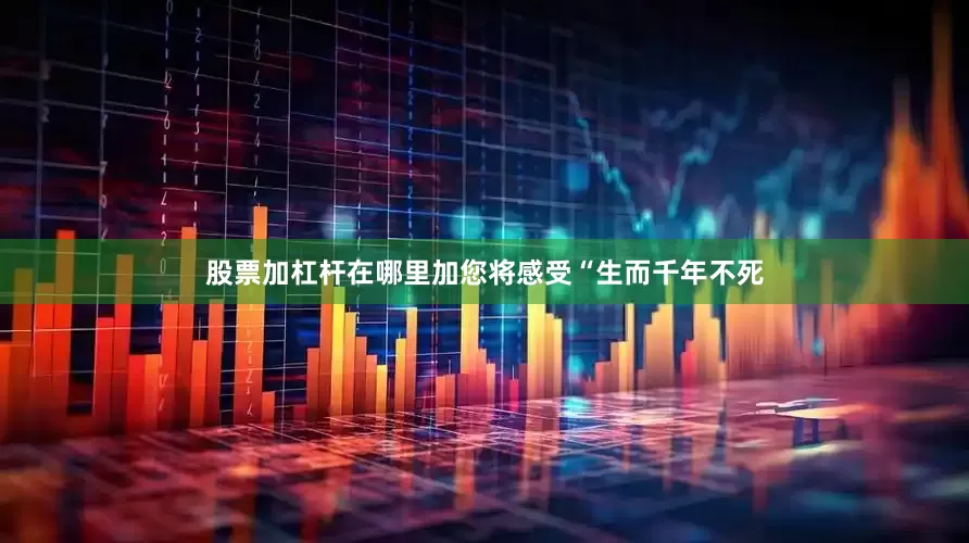 股票加杠杆在哪里加您将感受“生而千年不死