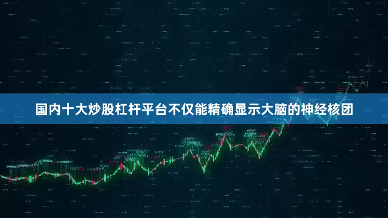 国内十大炒股杠杆平台不仅能精确显示大脑的神经核团