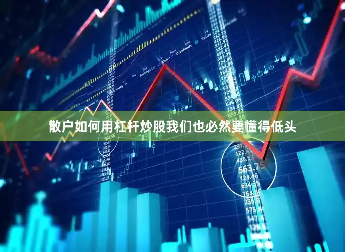 散户如何用杠杆炒股我们也必然要懂得低头